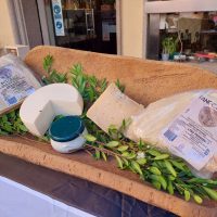 Food for Change_03