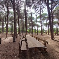Nel cuore dell_Isola di Caprera_02
