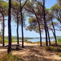 Giugno Slow Experiences Nel cuore dell_isola di Caprera 04